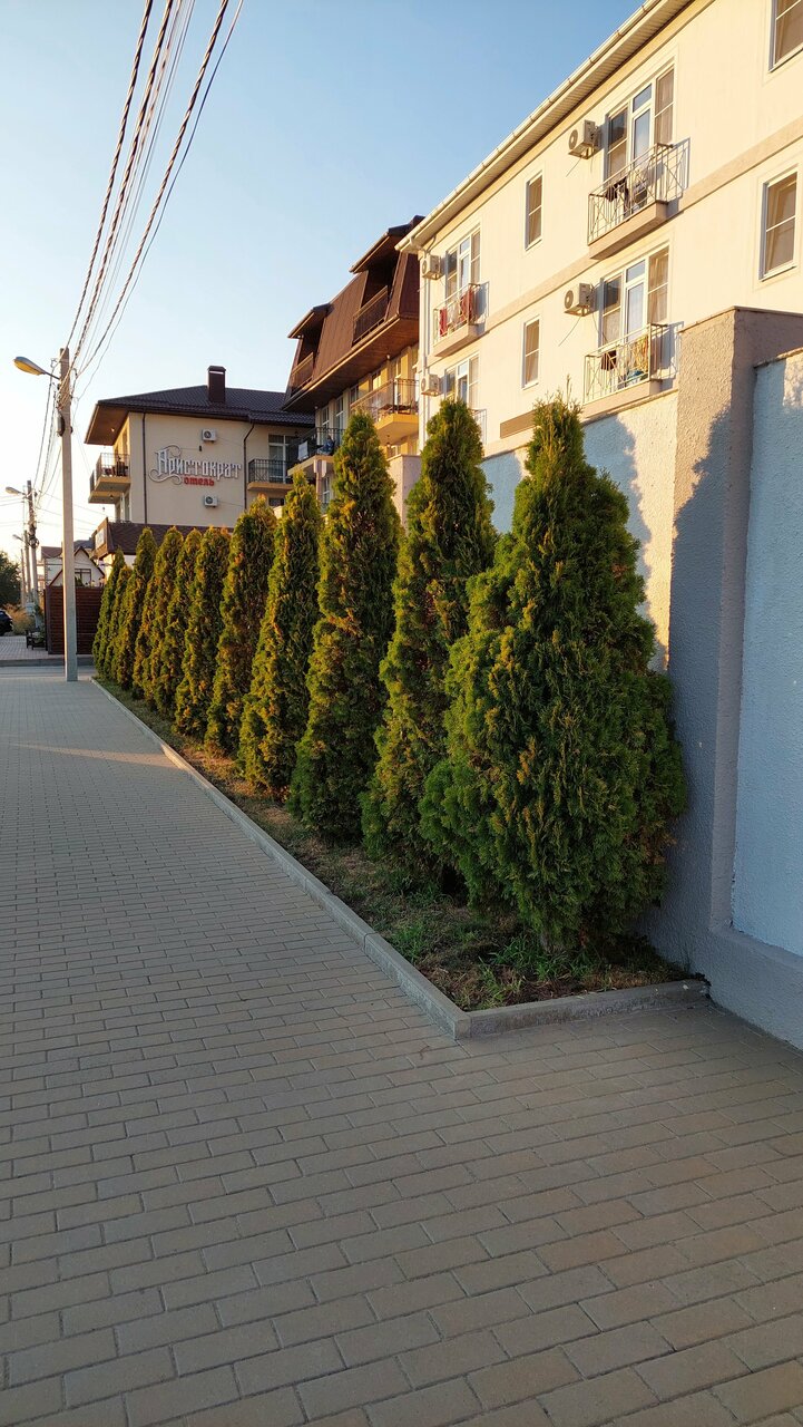 Гостиница Аристократ Нижнее Джемете-223