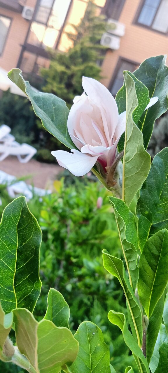 Гостиница Аристократ Нижнее Джемете-152