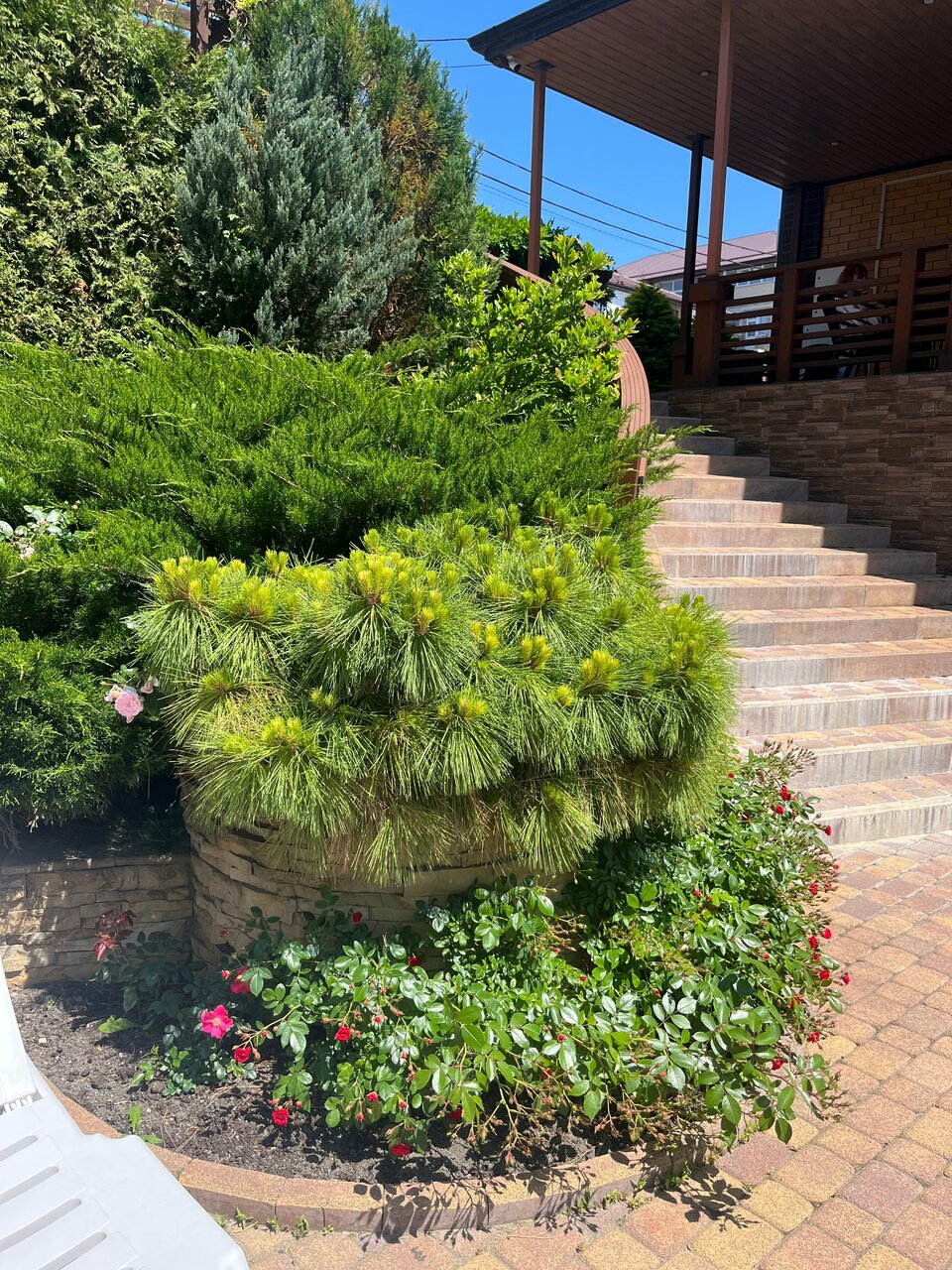 Гостиница Аристократ Нижнее Джемете-111