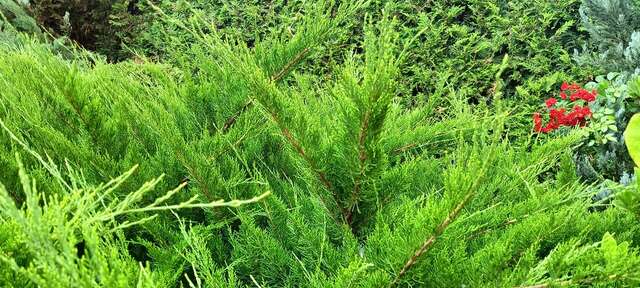 Гостиница Аристократ Нижнее Джемете-172