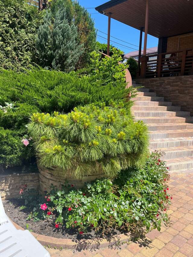 Гостиница Аристократ Нижнее Джемете-110