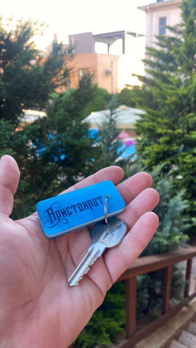 Гостиница Аристократ Нижнее Джемете-61